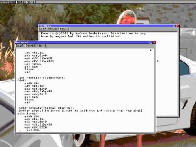 Heavily compressed jpg screenshot.